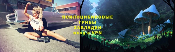 стафф Аркадак