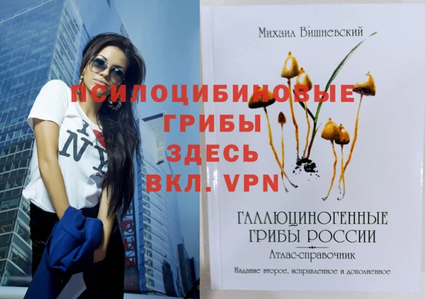 хмурый Алексеевка