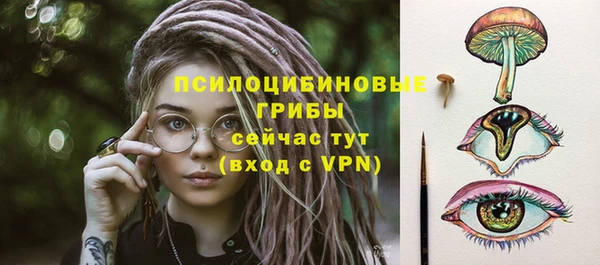 хмурый Алексеевка