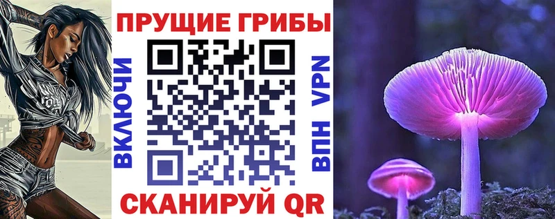 Галлюциногенные грибы прущие грибы  Цивильск 